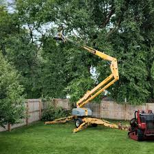 Best Aeration Services  in Mequon, WI