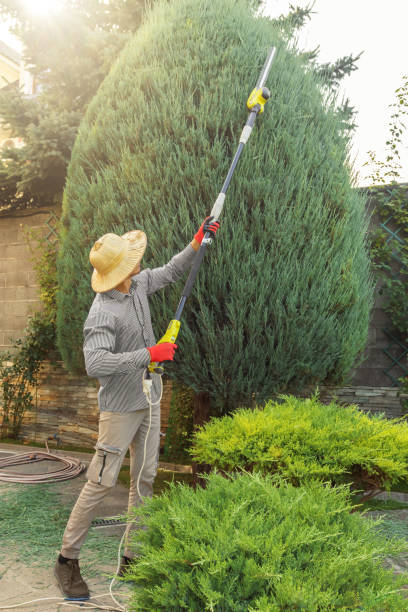 Best Utility Line Clearance  in Mequon, WI