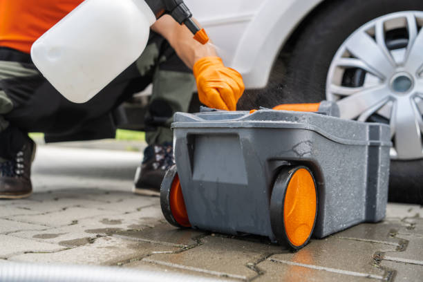 Best Tree Risk Assessment  in Mequon, WI